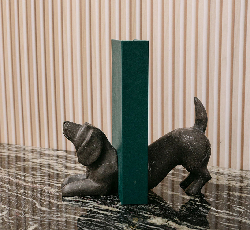 SUJETA LIBROS PERRO