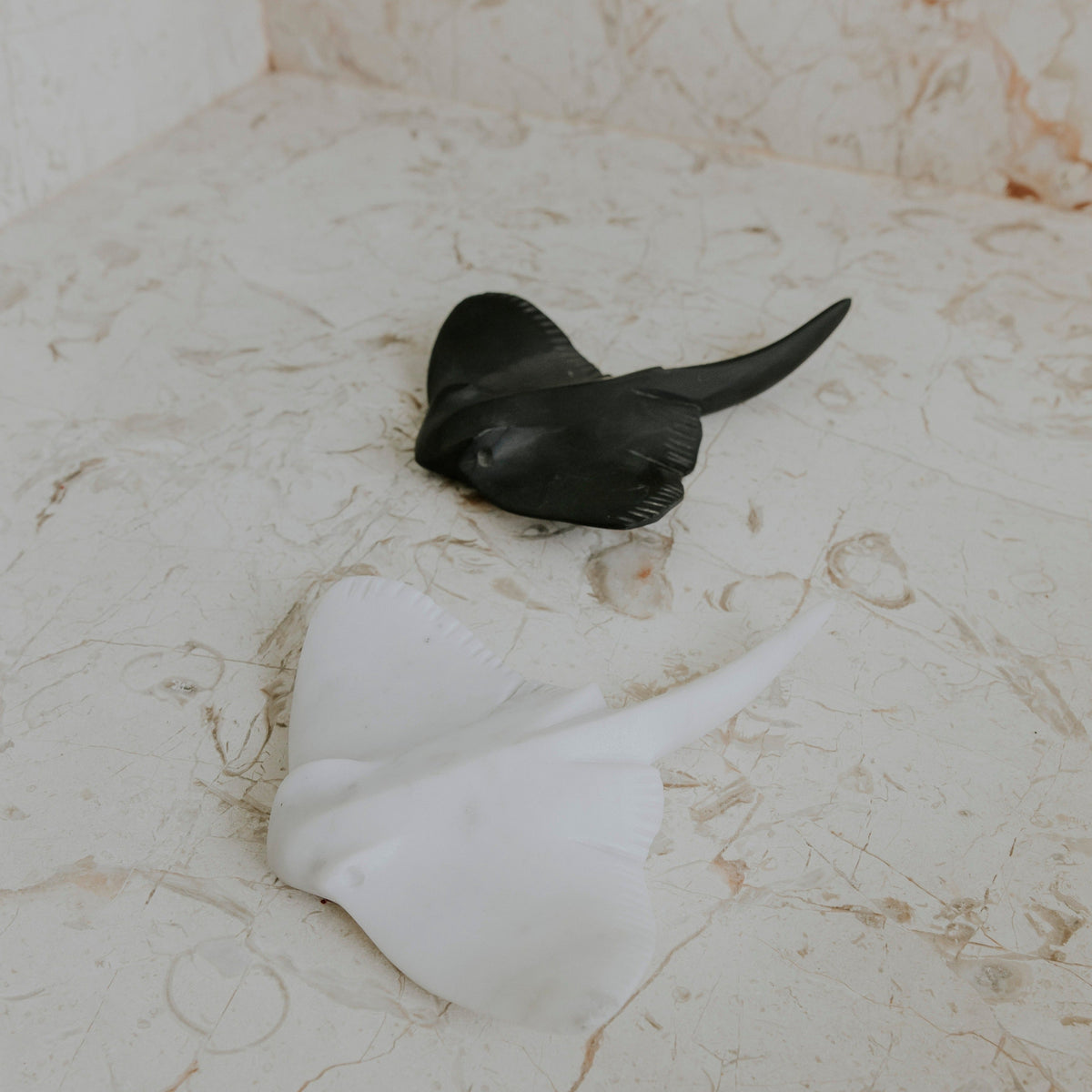 MANTARRAYA