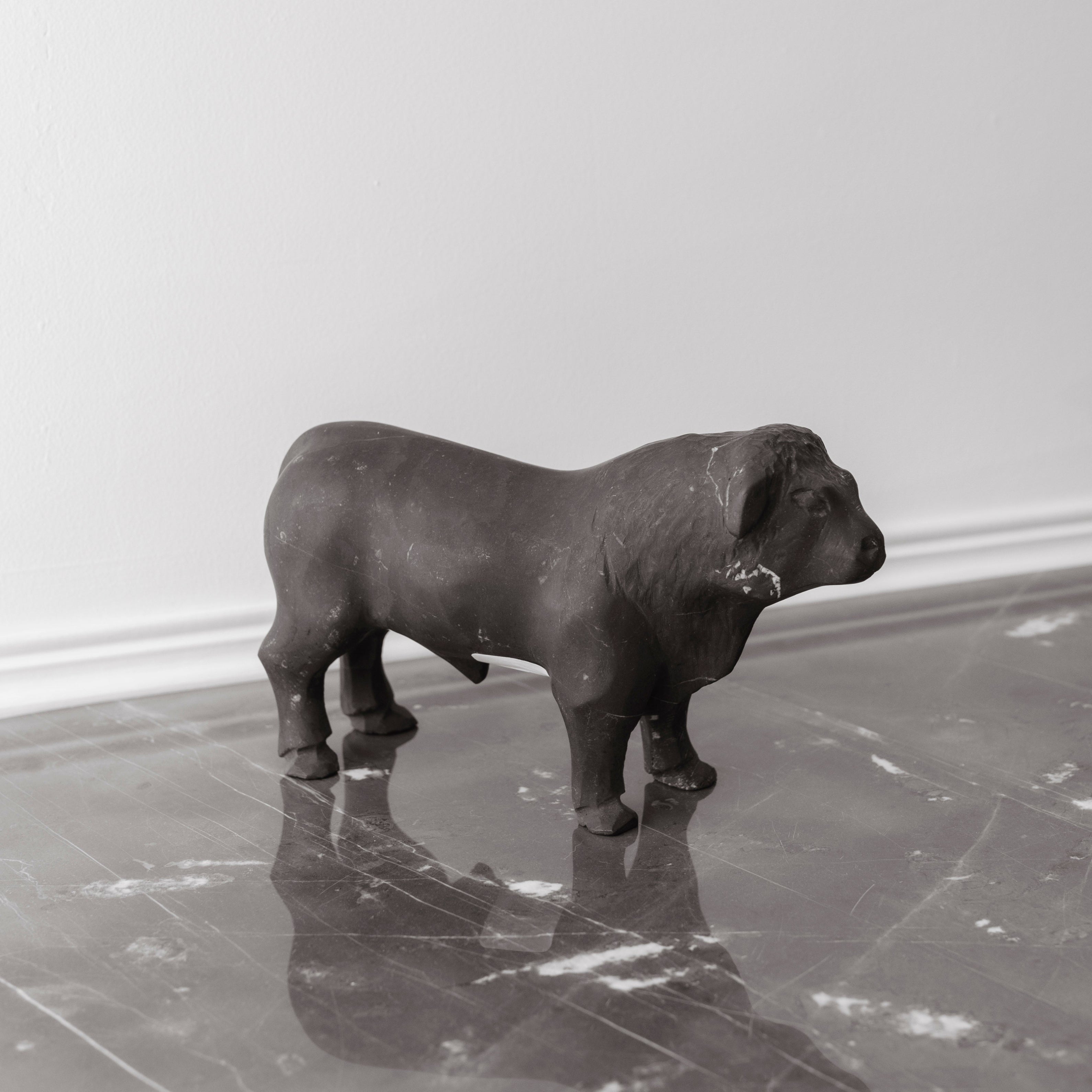 TORO ANGUS