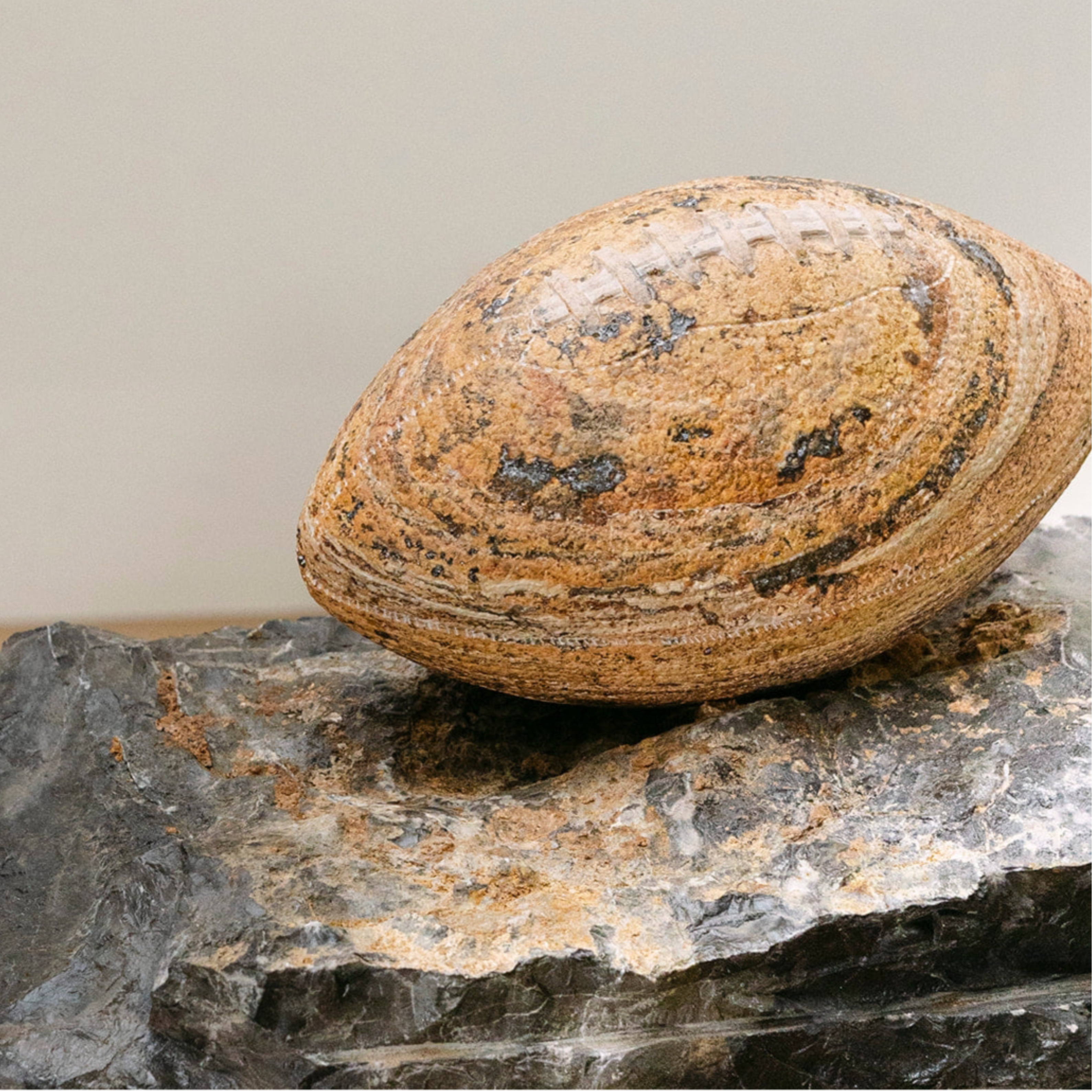 BALÓN DE AMERICANO